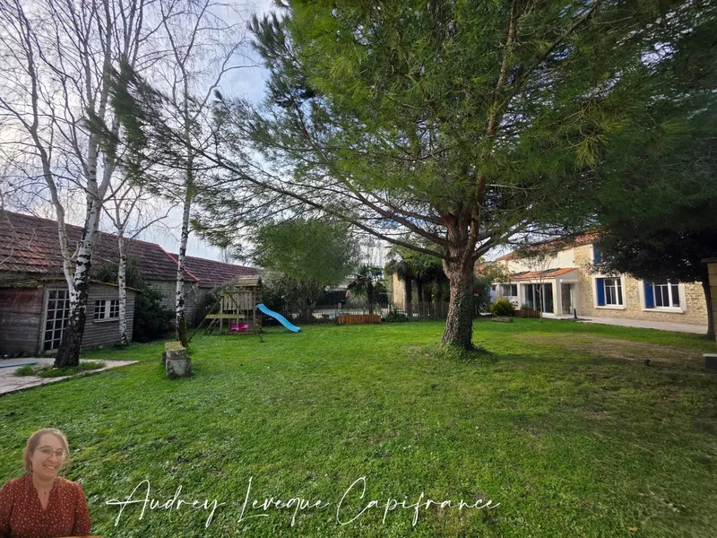 Photo 18