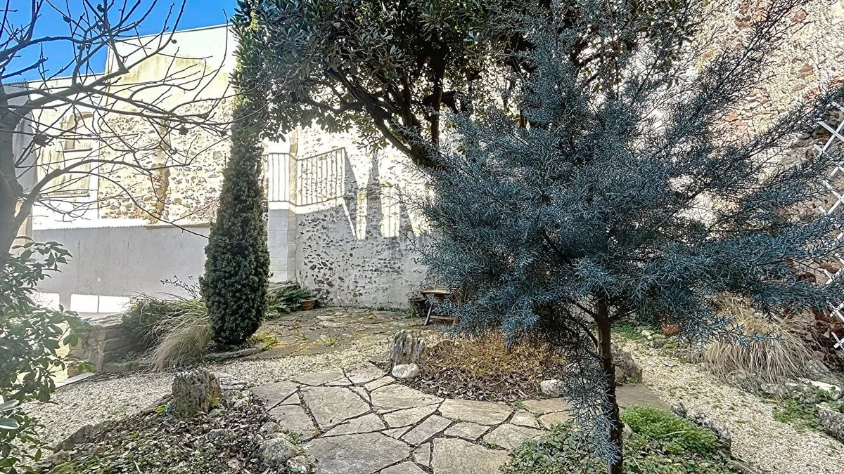 Photo 15