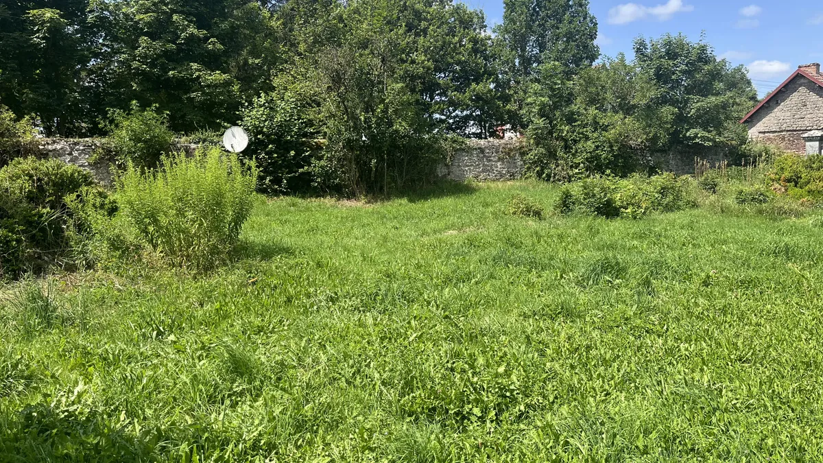 Photo 21
