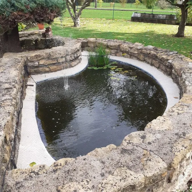 Photo 19