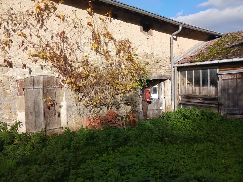 Photo 6