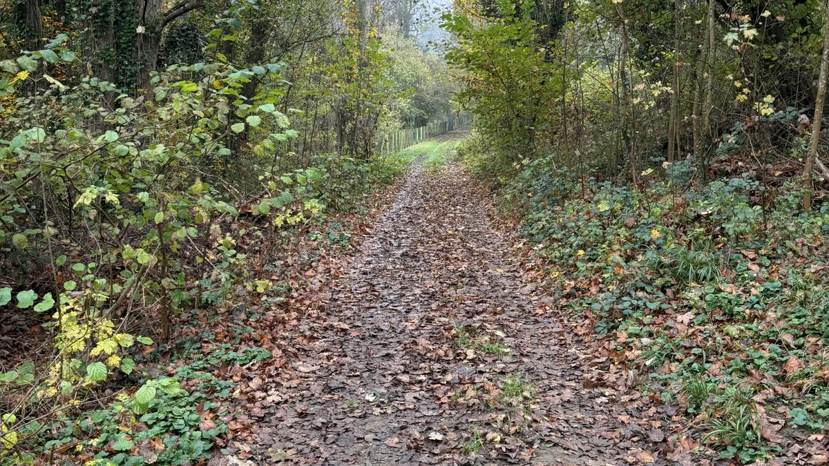 Photo 3