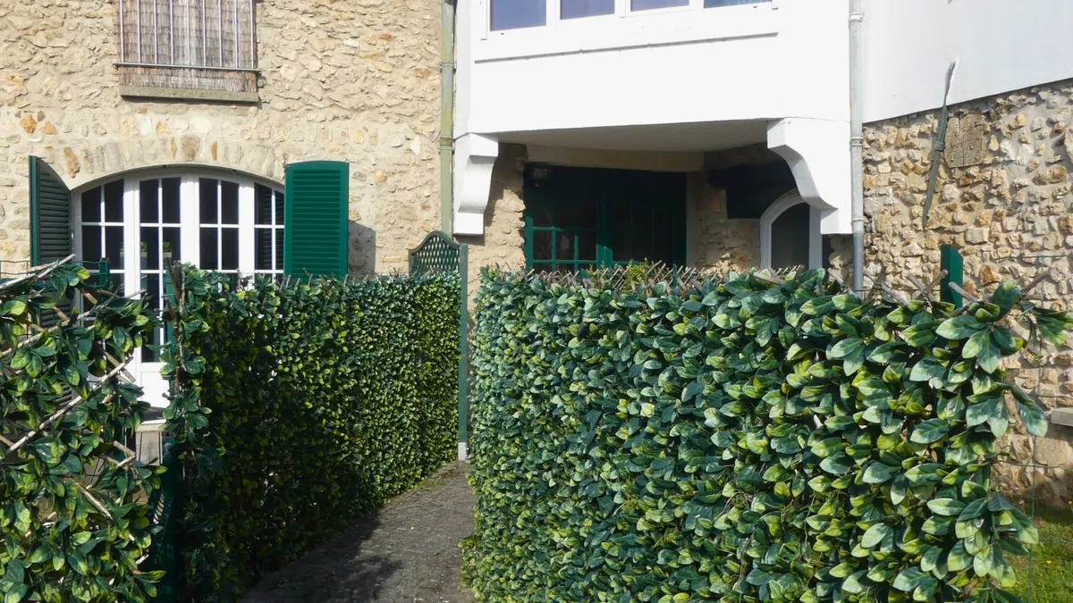 Photo 11