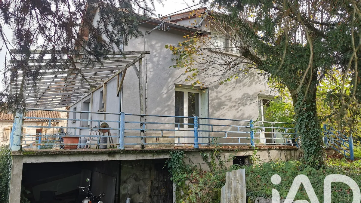 Photo 19
