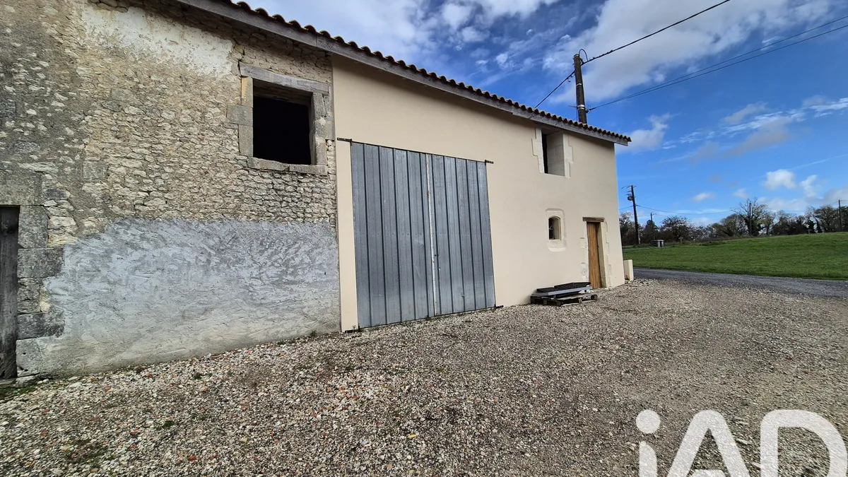 Photo 19