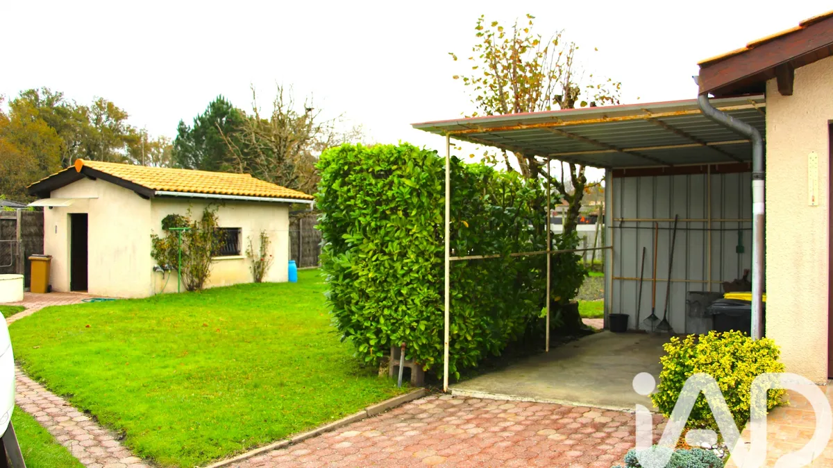 Photo 19