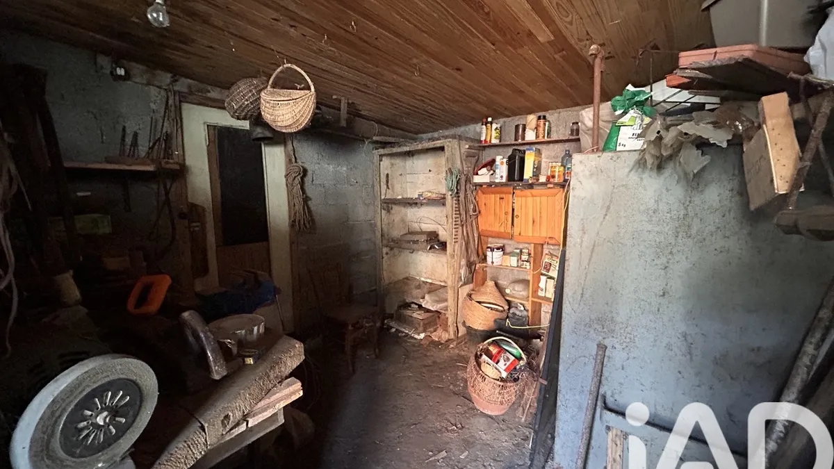 Photo 19