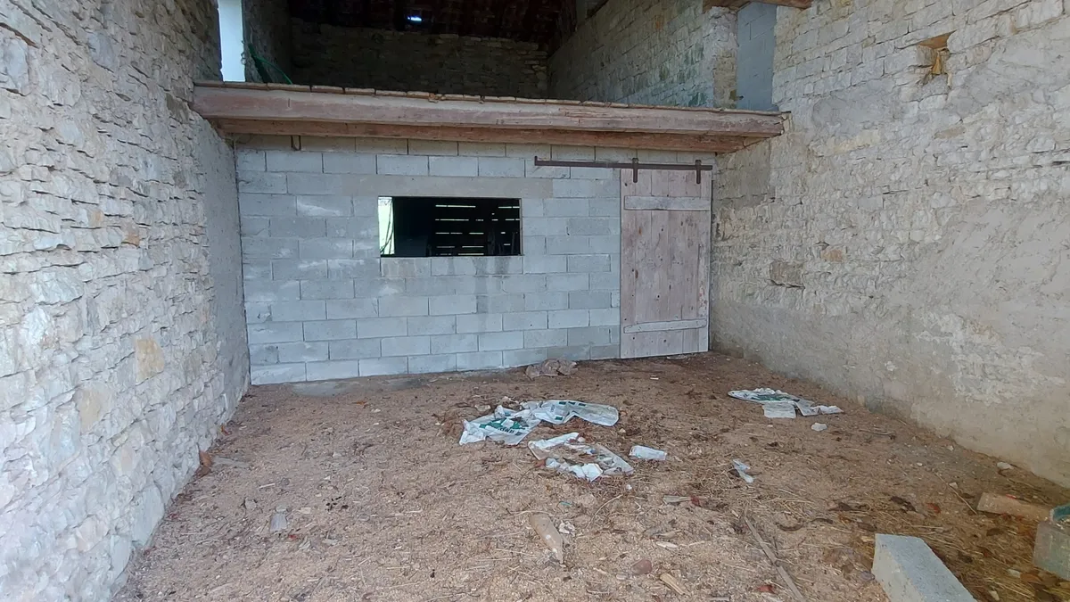 Photo 18