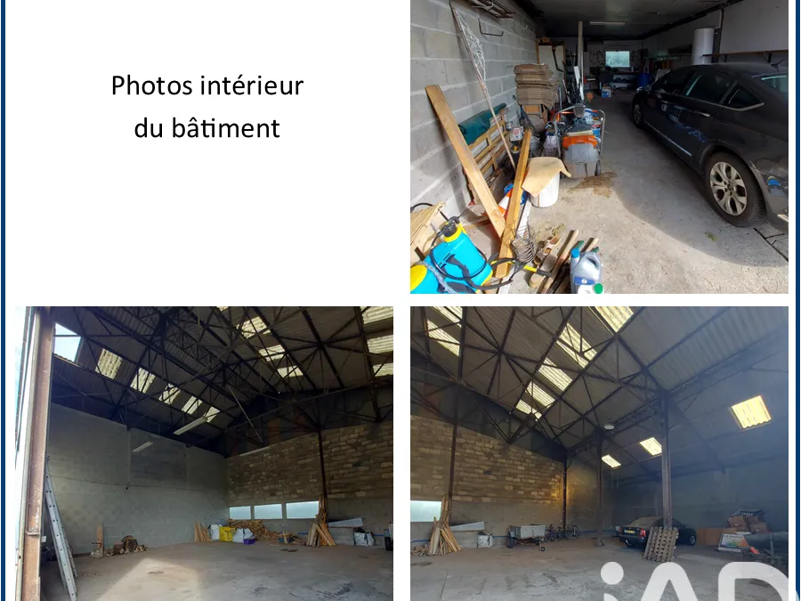 Photo 3
