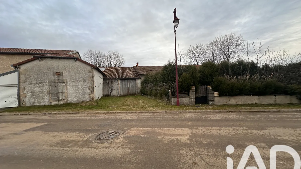 Photo 19