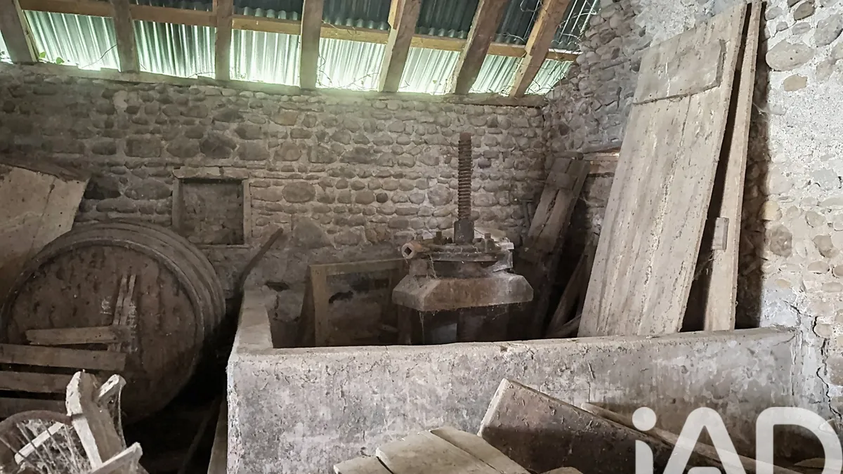 Photo 19