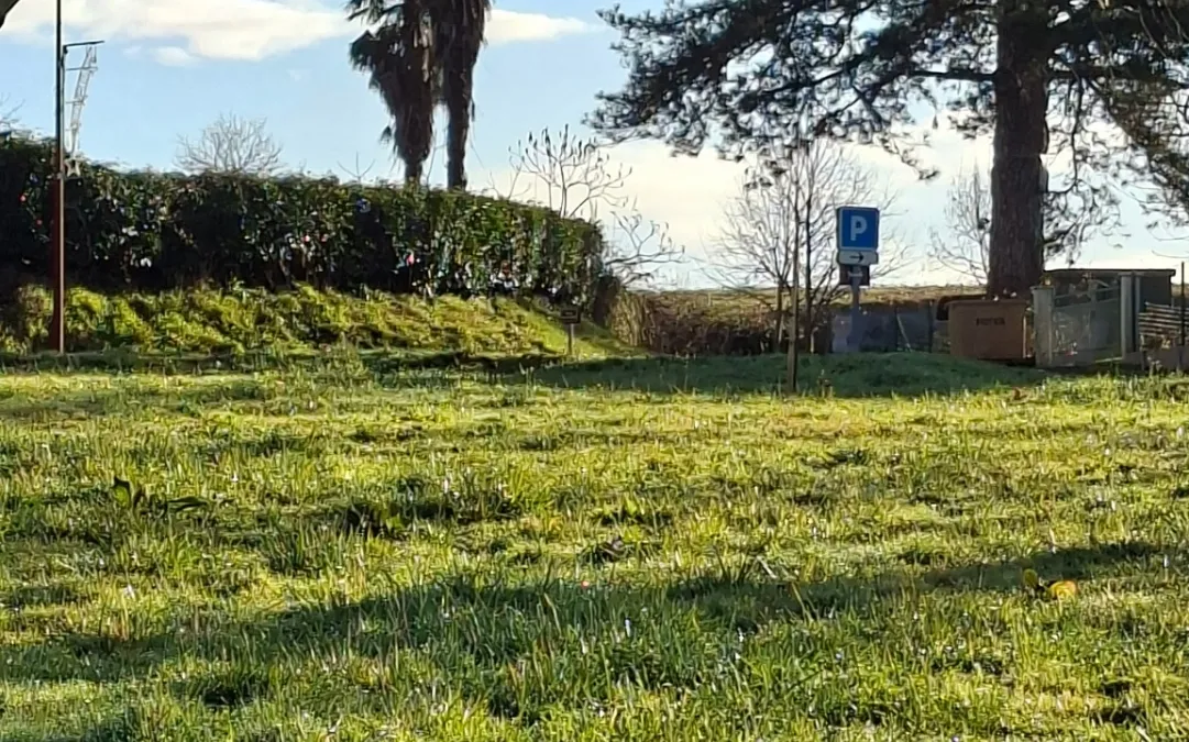 Photo 4