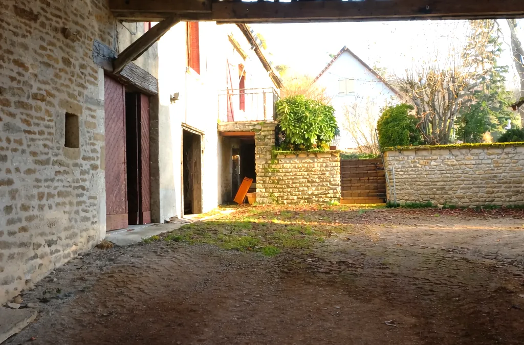 Photo 11