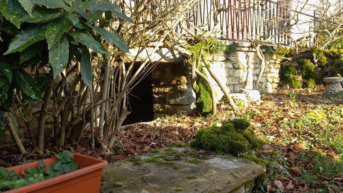 Photo 12
