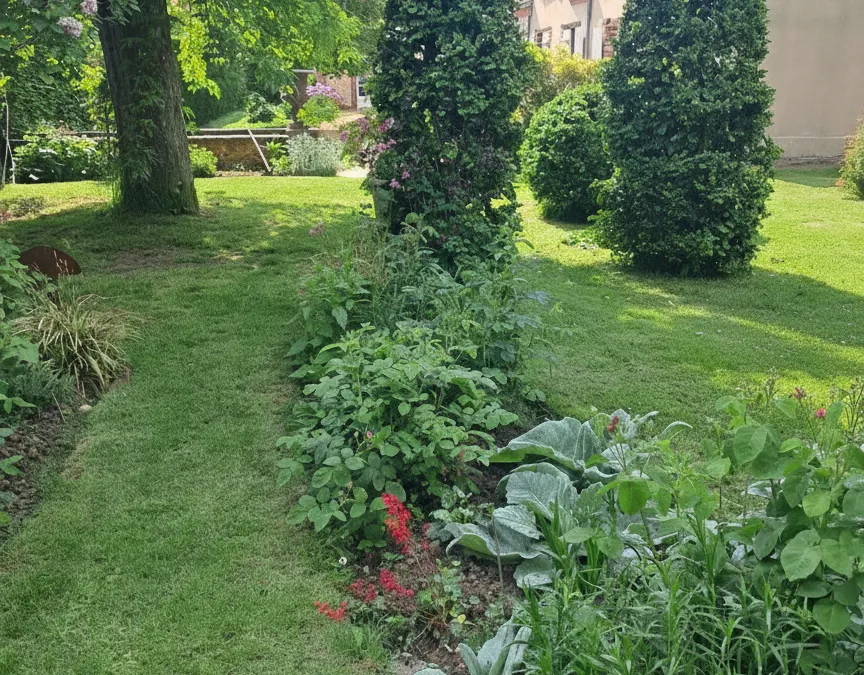 Photo 25