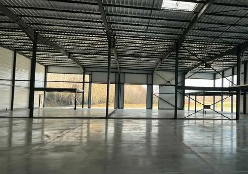 Photo 5