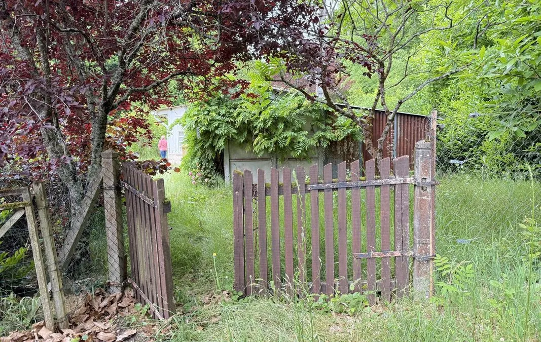 Photo 19