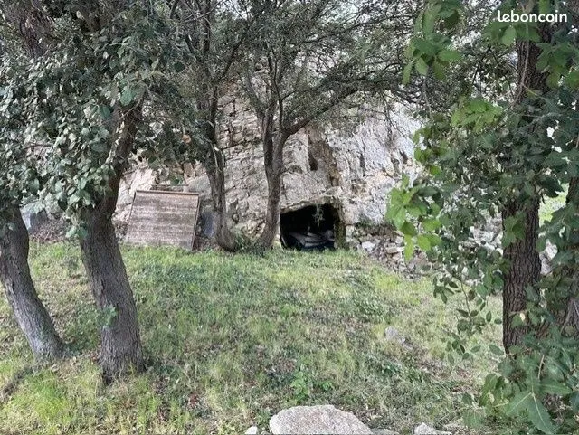 Photo 19