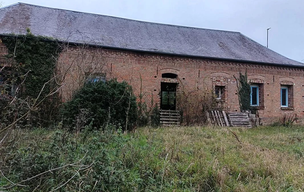 Photo 8