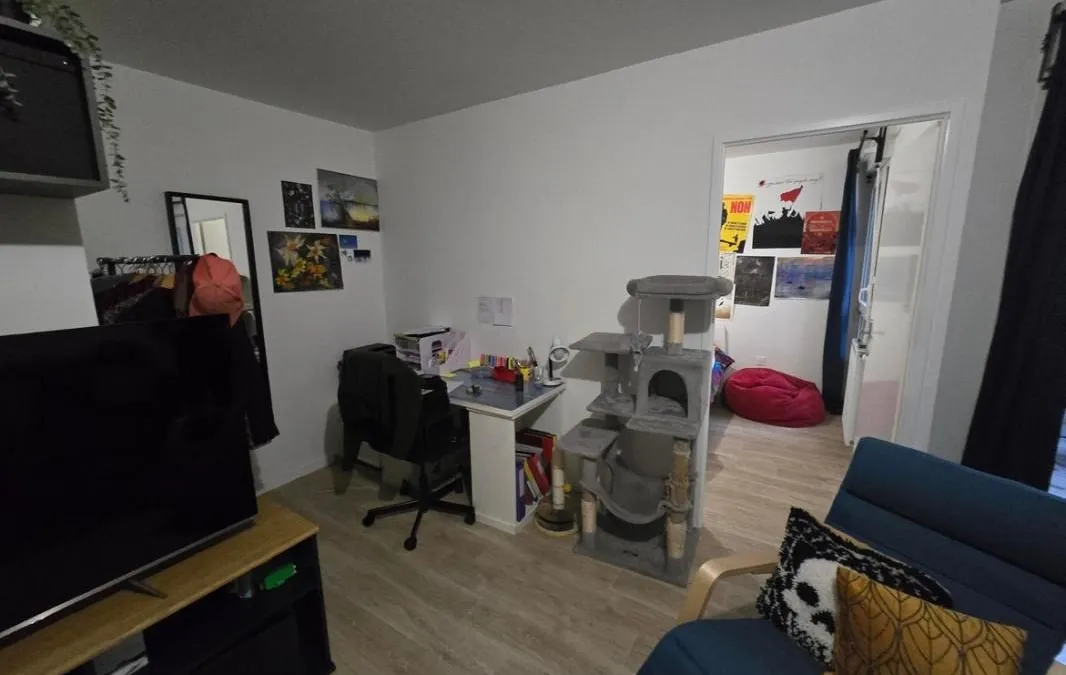 Photo 5