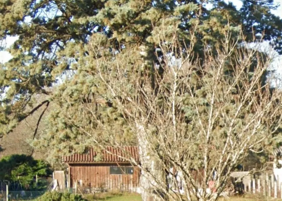Photo 8