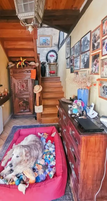 Photo 18