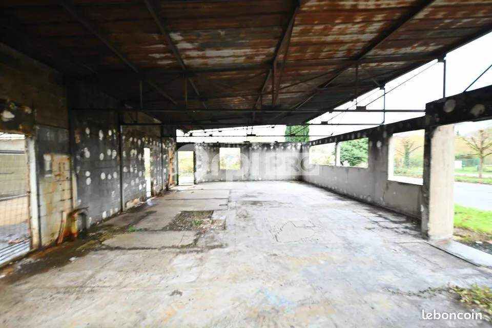 Photo 4