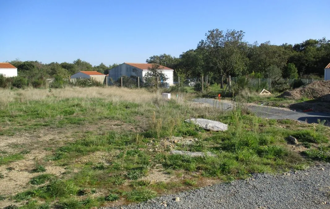 Photo 6