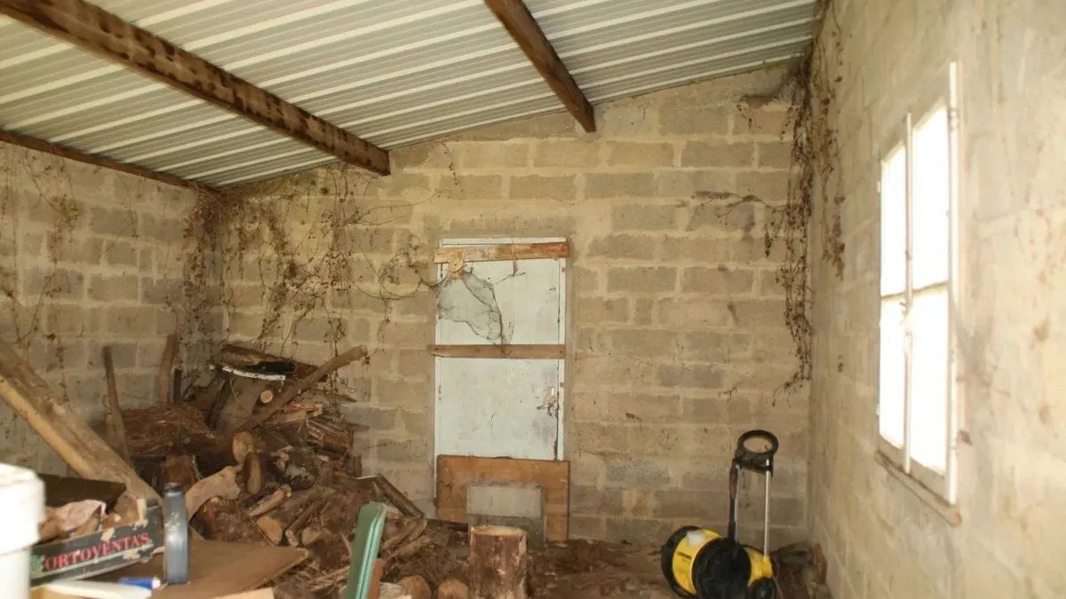 Photo 16