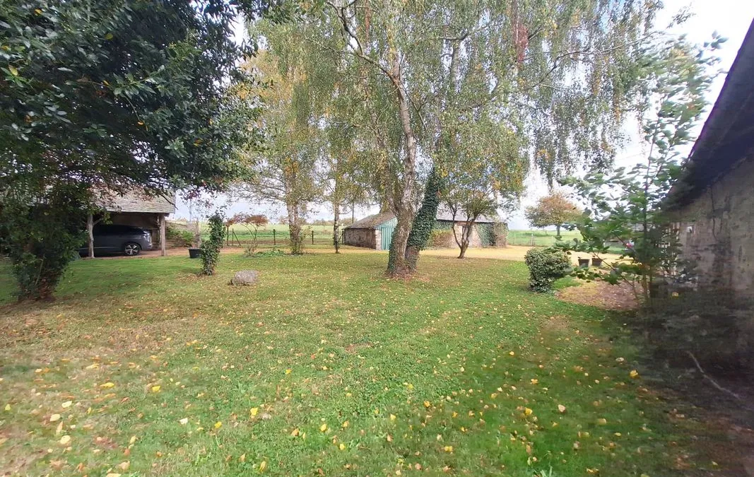 Photo 14