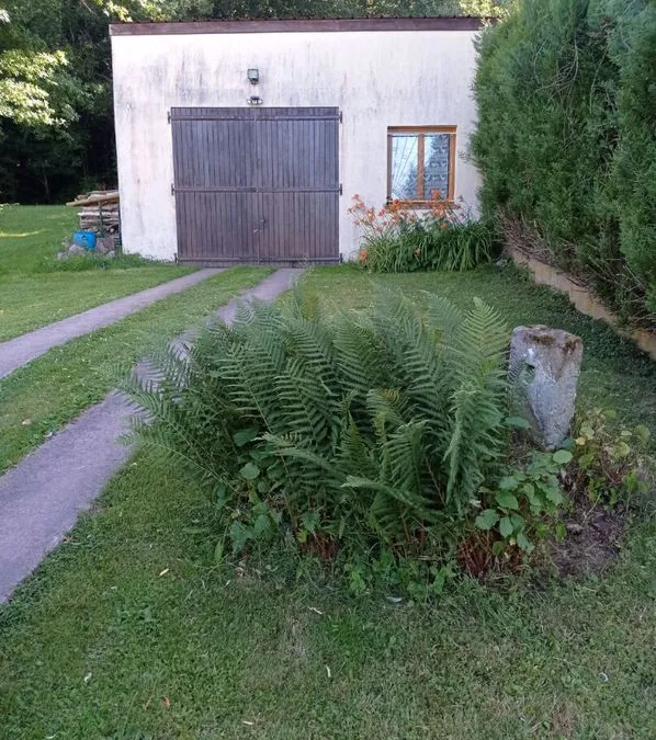 Photo 9