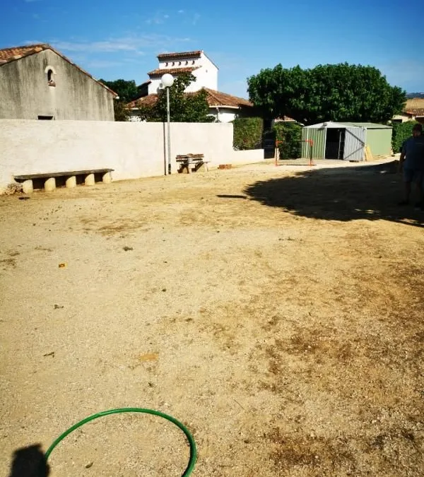 Photo 11