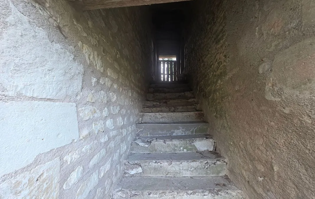 Photo 8