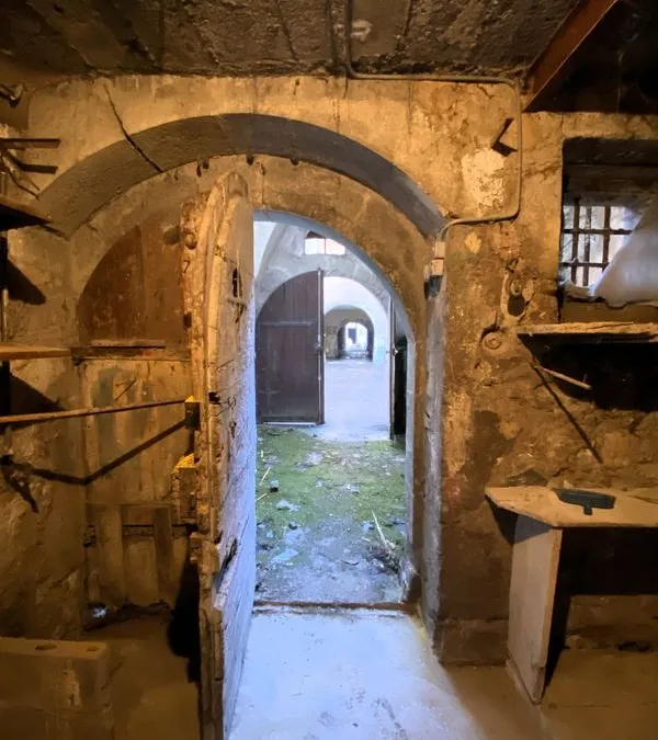 Photo 19