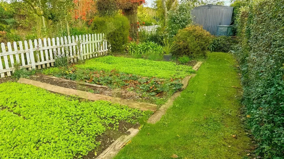 Photo 11