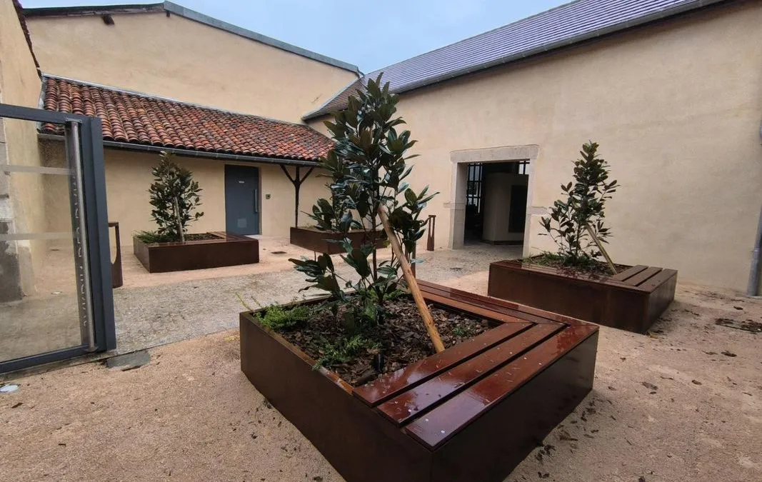 Photo 12