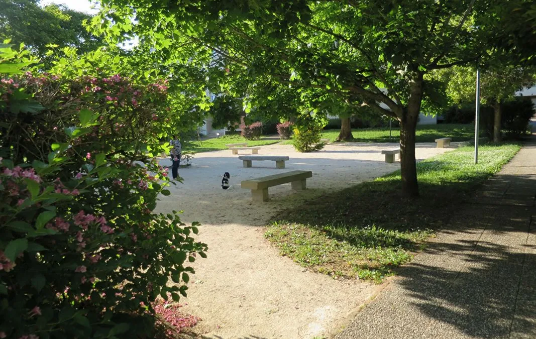 Photo 14