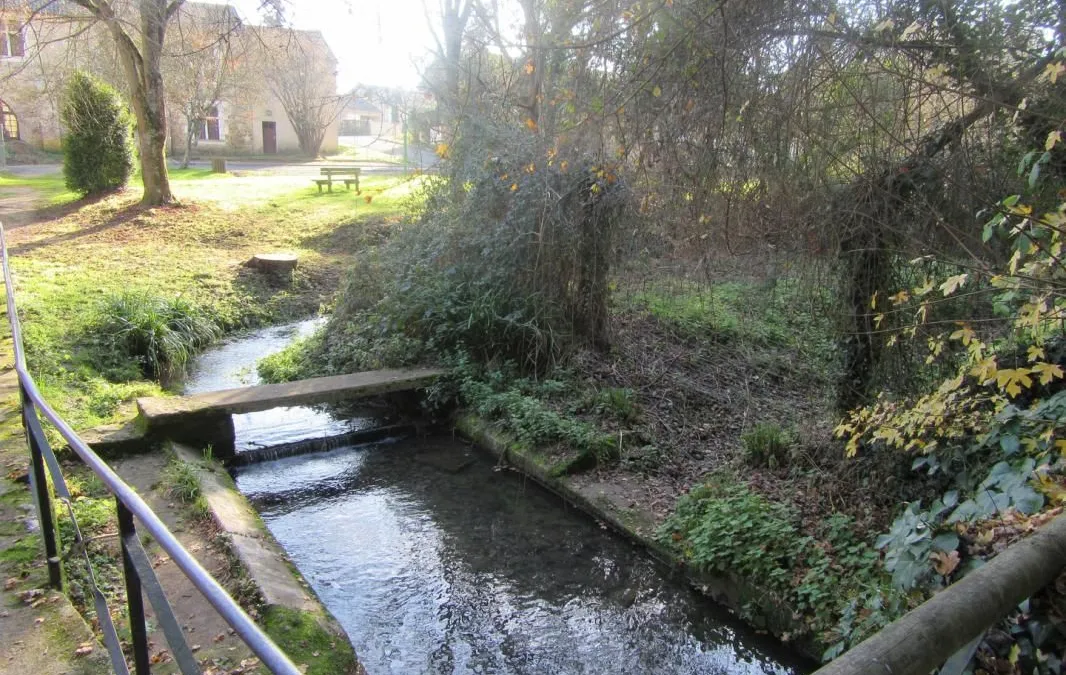 Photo 14