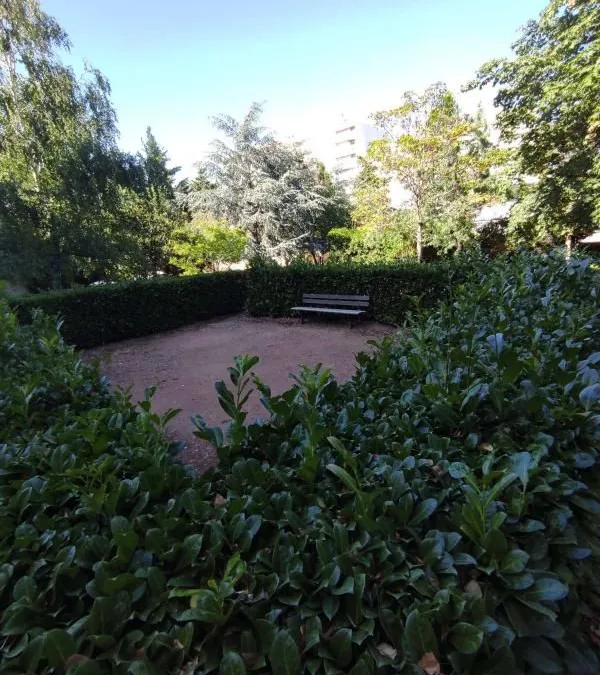 Photo 20