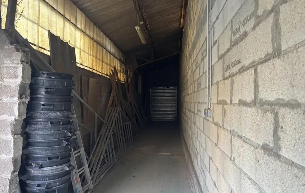 Photo 5