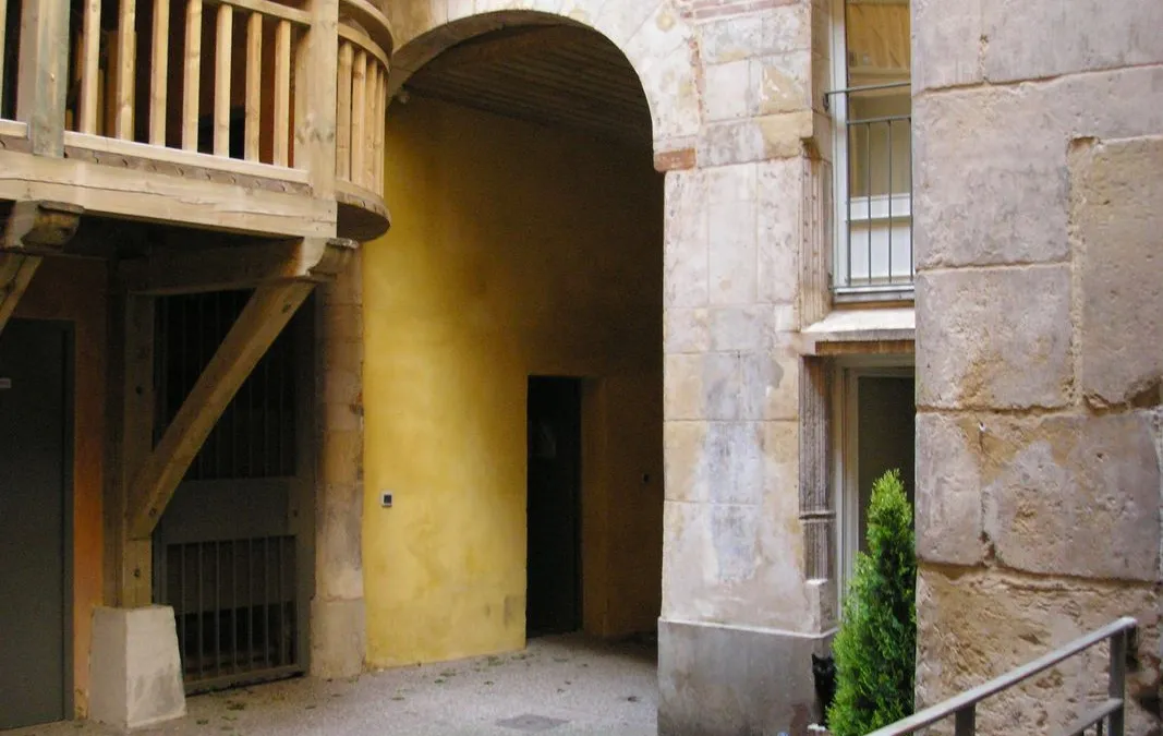 Photo 5
