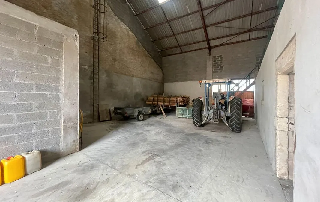 Photo 16