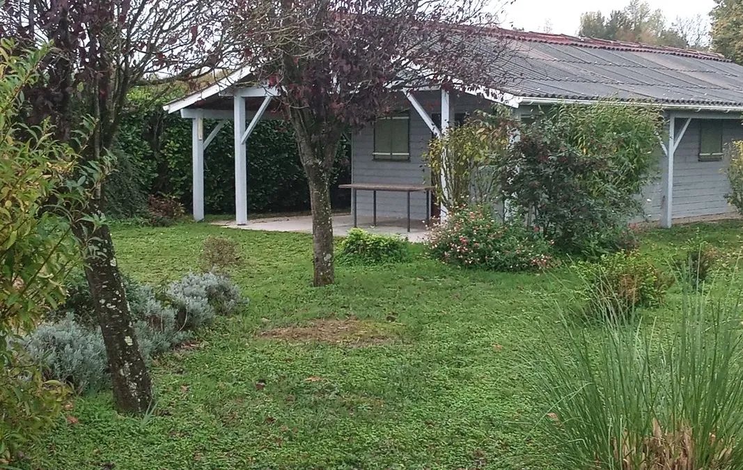 Photo 3