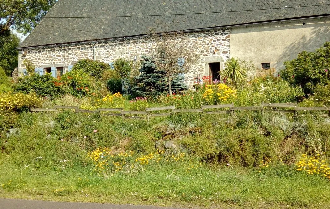 Photo 2