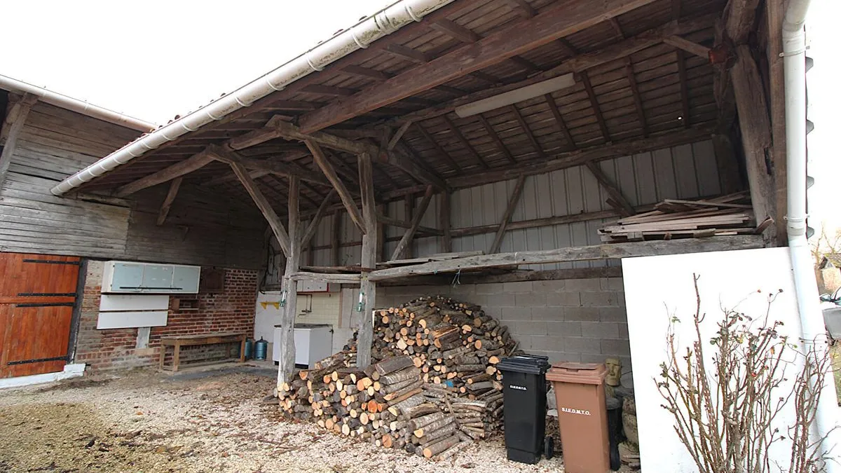 Photo 8