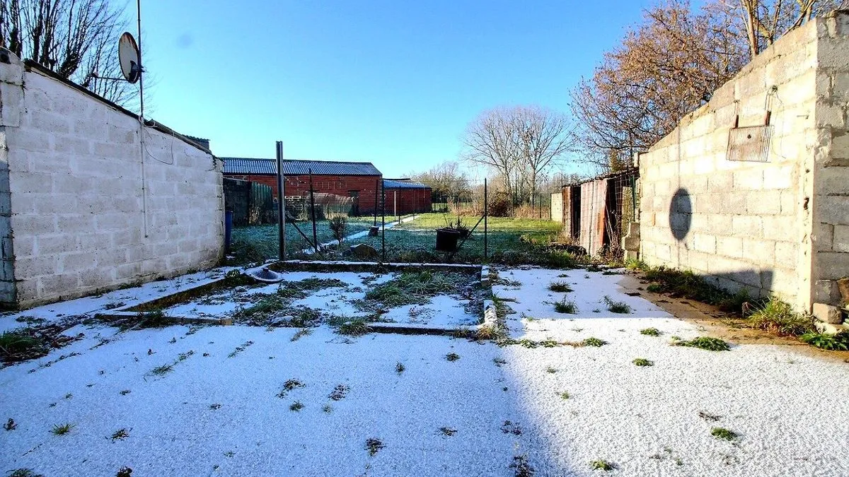 Photo 11