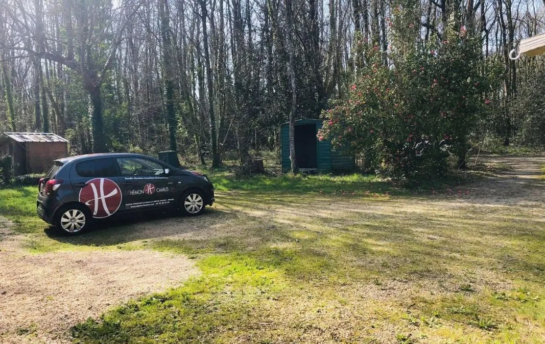 Photo 18