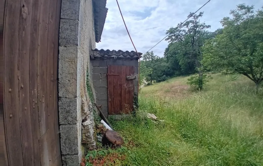 Photo 15
