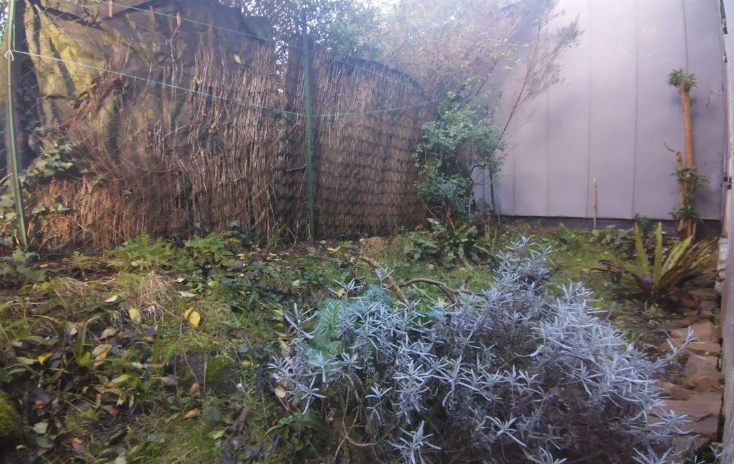 Photo 16