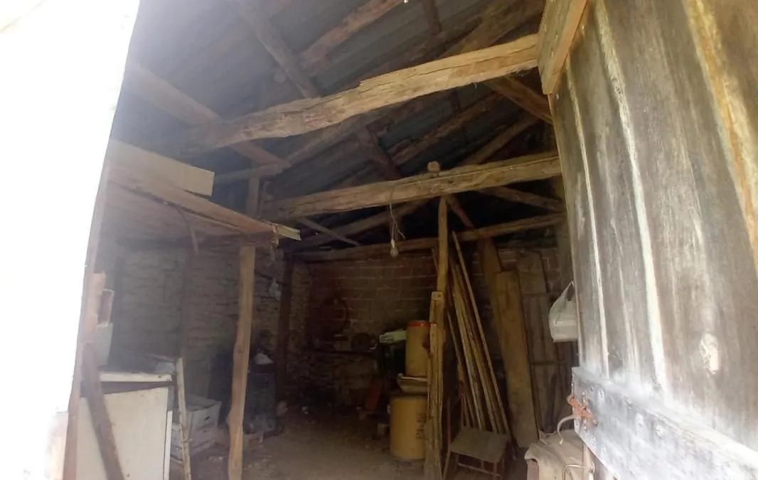 Photo 12